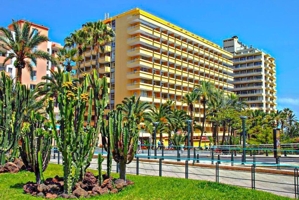 Estudio Para Dos En Martianez Puerto de la Cruz  Exterior photo